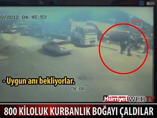 ŞAŞIRTICI HIRSIZLIK GÜVENLİK KAMERASI KAYDINDA