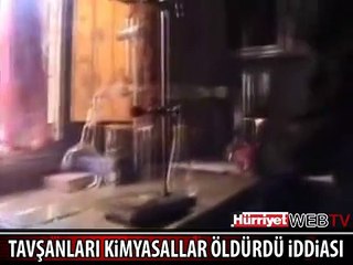 HERKESİN KONUŞTUĞU 2 GÖRÜNTÜ
