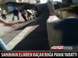 MEMLEKETİMDEN KURBAN MANZARALARI BÖLÜM 14- SAHİBİNİN ELİNDEN KAÇINCA