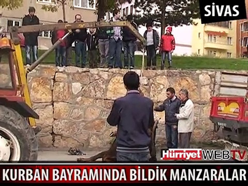 MEMLEKETİMDEN KURBAN MANZARALARI BÖLÜM 11