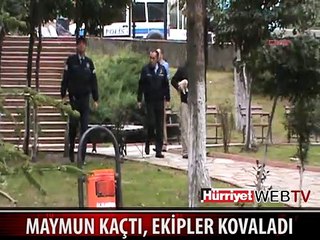 SAMSUN'U AYAĞA KALDIRAN OLAY