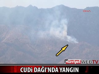 CUDİ DAĞI'NDA YANGIN ÇIKTI
