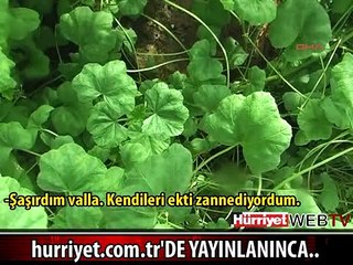 BÖYLEYDİ BAKIN NASIL OLDU