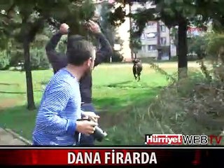 MEMLEKETİMDEN KURBAN MANZARALARI BÖLÜM 5- BU DA RİZE OLDU