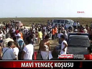 MAVİ YENGEÇ KOŞUSU