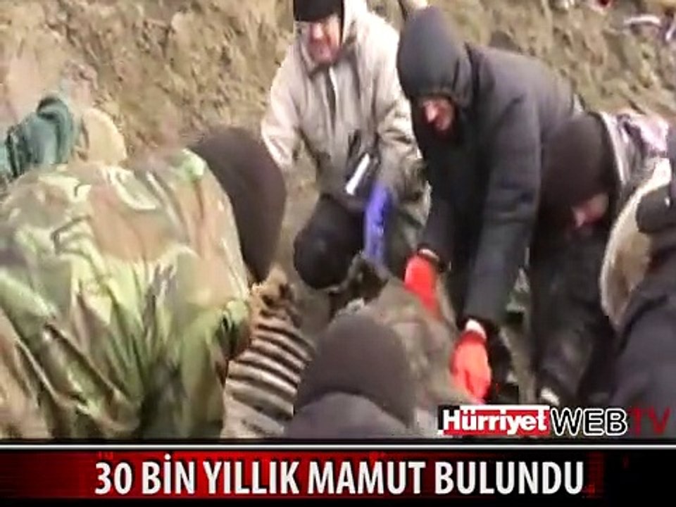 RUSYA'DA 30 BİN YILLIK MAMUT BULUNDU