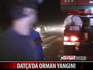 DATÇA'DA ORMANLARI ALEV ALEV YAKTILAR