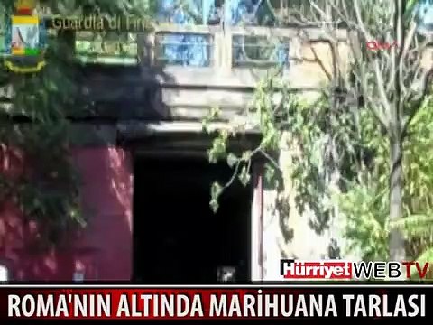 ROMA'NIN ALTINDAKİ GİZLİ DEHLİZDE UYUŞTURUCU TARLASI