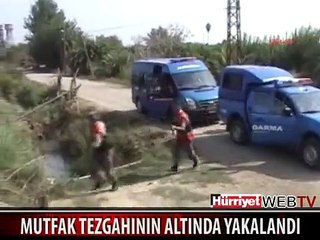 MUTFAK TEZGAHININ ALTINDA YAKALANDI