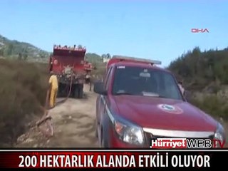 SURİYE'DE ÇIKAN YANGIN TÜRK KÖYÜNÜ TEHDİT