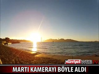 BU MARTININ YAPTIĞINA İNANAMACAKSINIZ