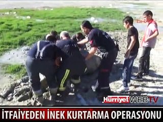 İTFAİYEDEN İNEK KURTARMA OPERASYONU