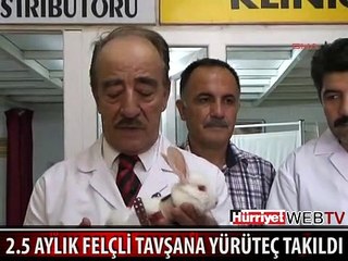 FELÇLİ TAVŞANA YÜRÜTEÇ TAKILDI
