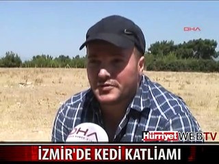 İZMİR'DE KEDİ KATLİAMI