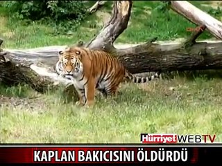 KAPLAN, KADIN BAKICISINI ÖLDÜRDÜ