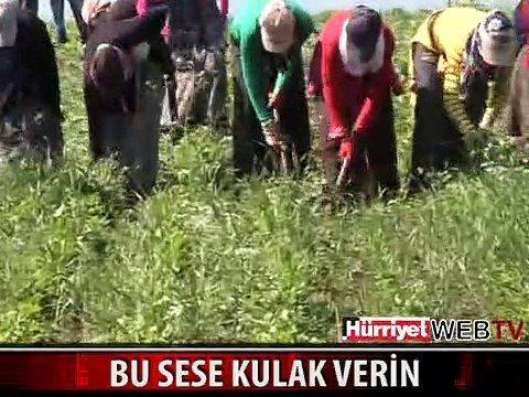 BU SESE KULAK VERİN! TEK HAYALLERİ OKULA GİTMEK