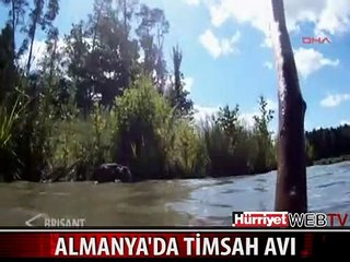 ALMANYA'DA TİMSAH ALARMI