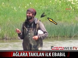KARS'TA İLK KEZ AĞLARA TAKILDI