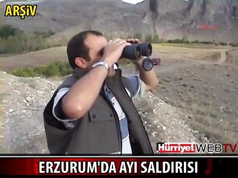 BİR AYI SALDIRISI DAHA