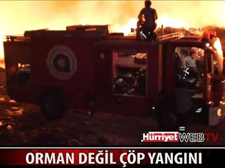 ORMAN YANGINI DEĞİL ÇÖP YANGINI