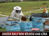ANZER BALININ İÇİNDE NELER VAR