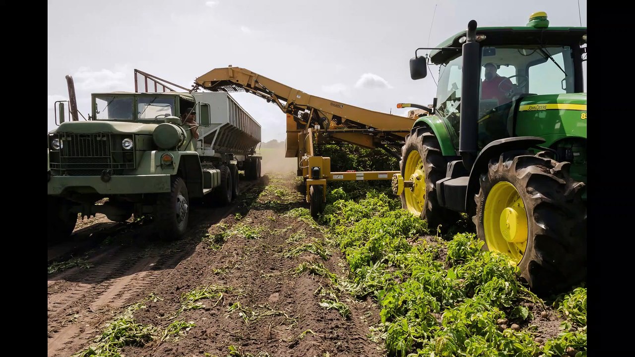 agric 1
