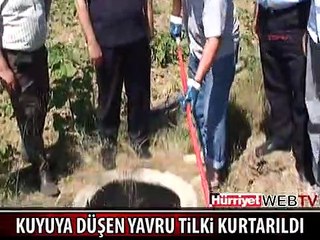 YAVRU TİLKİ KUYUDAN BÖYLE KURTARILDI