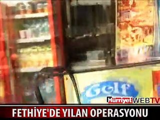 FIRINDAKİ YILANI BÖYLE YAKALADILAR