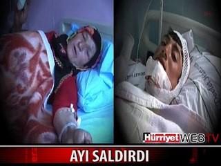 AYI SALDIRDI, CANLARINI ZOR KURTARDILAR