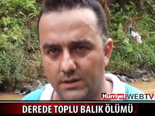 KORKUTAN BALIK ÖLÜMLERİ