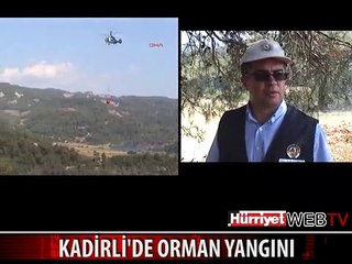 KADİRLİ'DE 10 DÖNÜMLÜK KIZILÇAM ORMANI YANDI