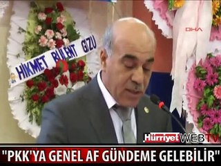 PKK'YA GENEL AF GÜNDEME GELEBİLİR