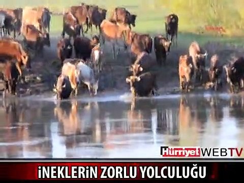 BURASI TEKSAS DEĞİL TÜRKİYE'DE BİR YER