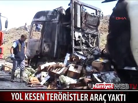 YOL KESEN TERÖRİSTLER 9 TIR'I YAKTI