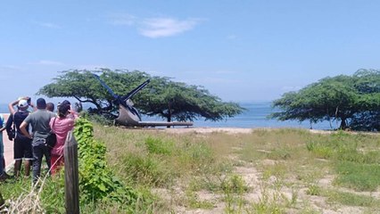 Habla familia de menor que murió embestido por una avioneta en Santa Marta