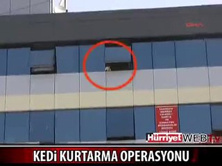 BİR KEDİYİ KURTARMAK İÇİN 4 SAAT UĞRAŞTILAR