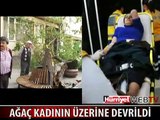 KAMYONETİN ÇARPTIĞI AĞAÇ KADININ ÜZERİNE DEVRİLDİ