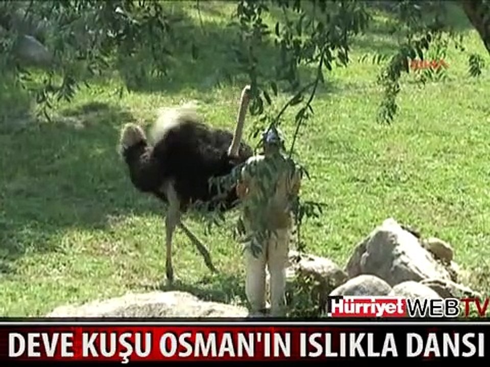 ISLIKLA DANS EDİYOR