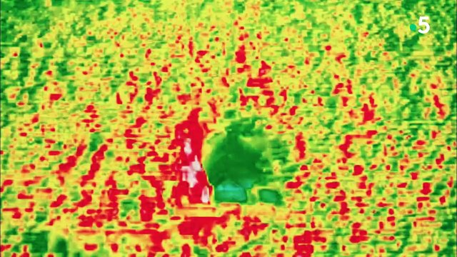 Khéops, mystérieuses découvertes