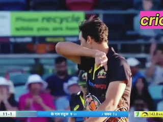Cricket highlights shots