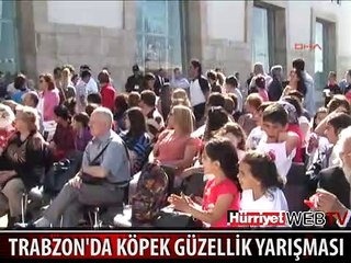 EN GÜZEL KÖPEKLER PODYUMA ÇIKTI