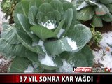 GAZİPAŞA'YA 37 YIL SONRA KAR YAĞDI