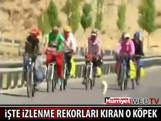 BU KÖPEK İZLENME REKORLARI KIRDI