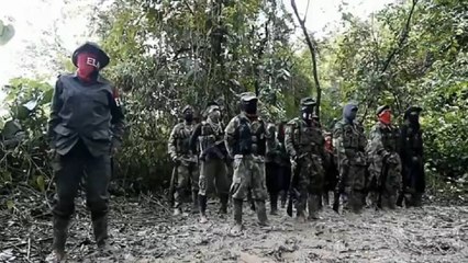 ‘‘Estamos en guerra’’: los impactantes audios que muestra la crudeza del conflicto en Arauca