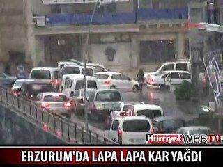 ERZURUM'A LAPA LAPA KAR YAĞDI