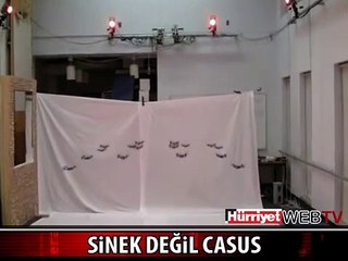 İŞTE CASUS SİNEK ROBOTLAR