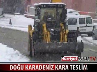DOĞU KARADENİZ KARA TESLİM