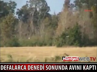 İŞTE KARTALIN BALIK AVI