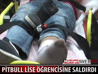 PİTBULL'UN SALDIRDIĞI LİSELİ YARALANDI