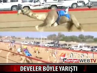 ARAP SPİKERİN DEVE YARIŞI HEYECANI